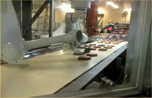 FANUC Meat Processing Robot